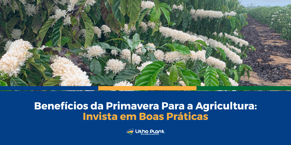 Benefícios da primavera para a agricultura