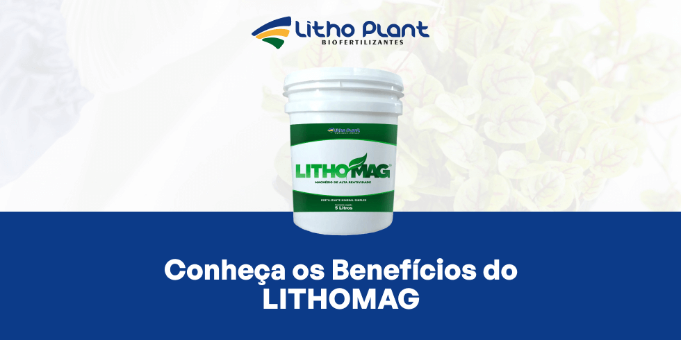Benefícios do Lithomag
