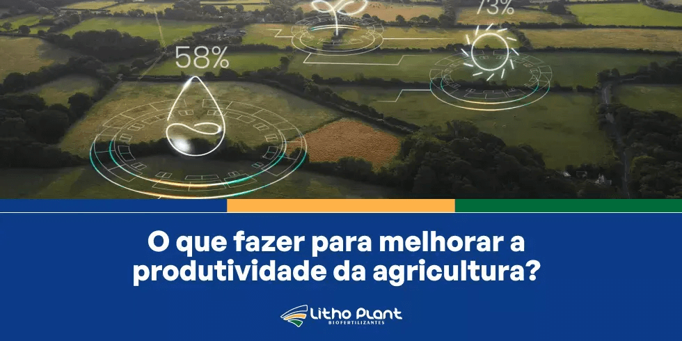Produtividade na agricultura