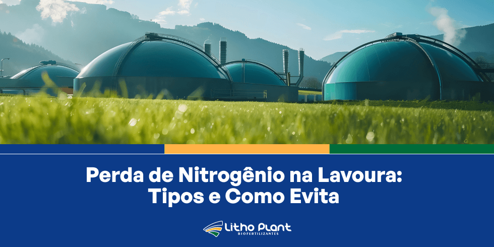 Perda de nitrogênio na lavoura