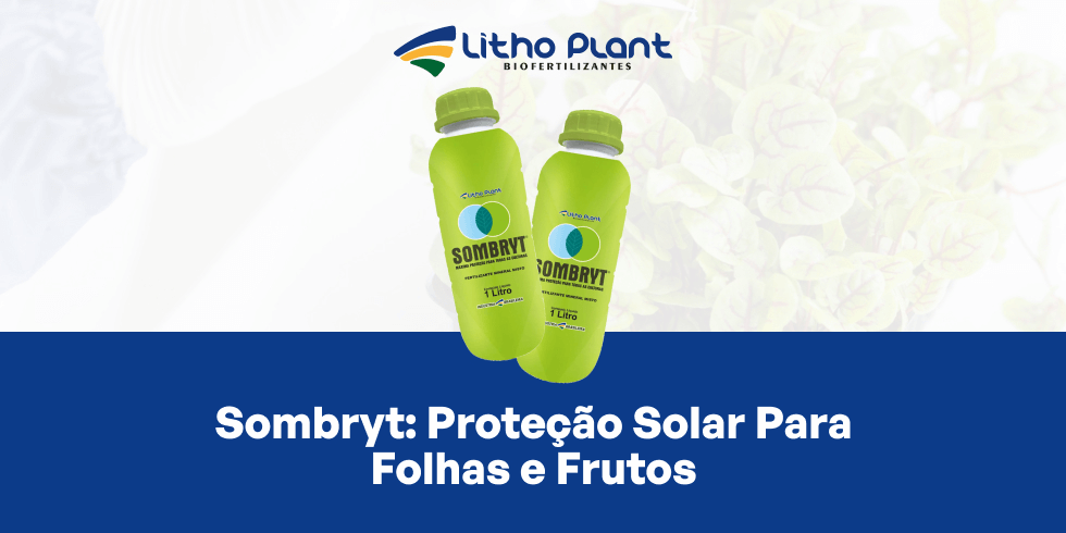 Sombryt proteção solar para folhas e frutos