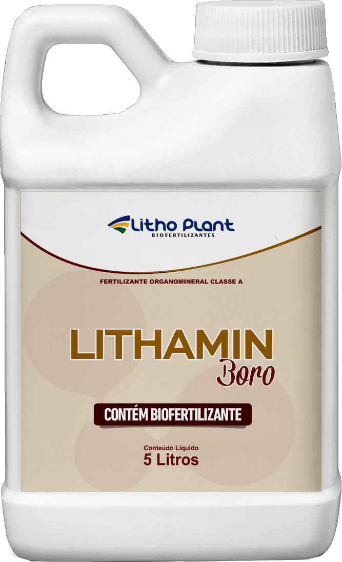 BORO Litho Plant