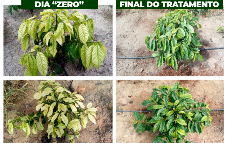 Área de referência – vista 1
